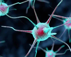 NEUROLOGICAL DISORDERS